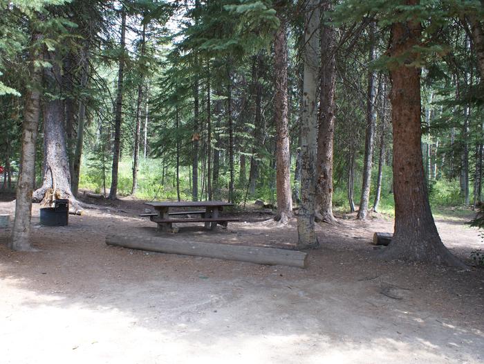 Dry lake campground site 3 table fire pit and trees