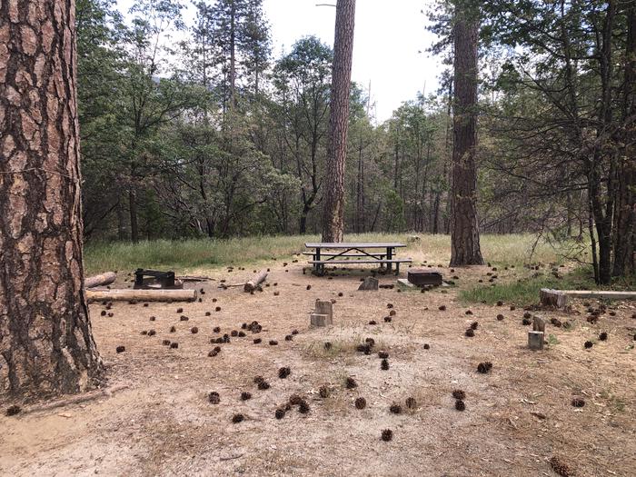 A photo of Site 038 of Loop WISHON BASS LAKE at WISHON BASS LAKE with Picnic Table, Fire Pit, Shade
