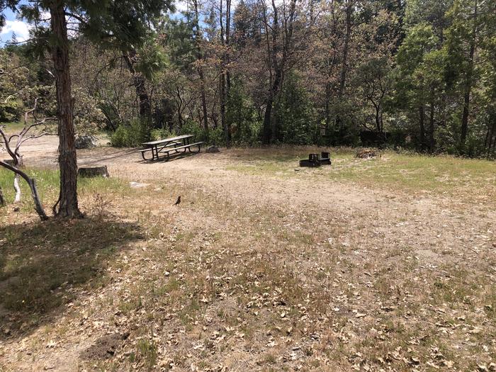 A photo of Site 016 of Loop WISHON BASS LAKE at WISHON BASS LAKE with Picnic Table, Fire Pit, Shade, Pull-Thru. 