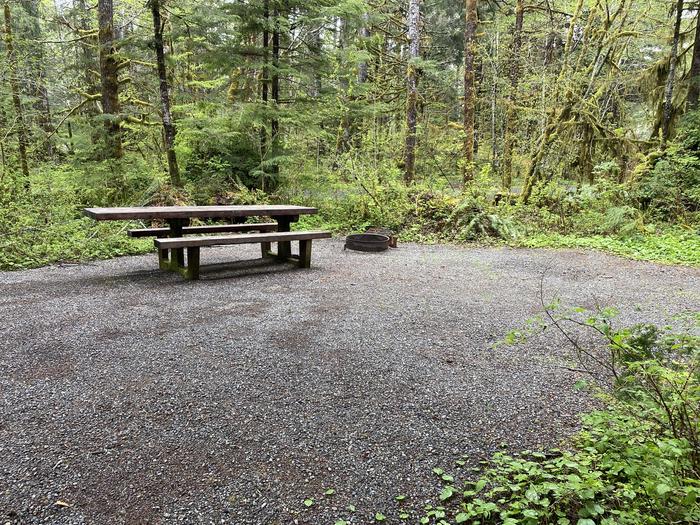 A photo of Site 023 of Loop LOOP A at COHO CAMPGROUND with Picnic Table, Fire Pit, Tent Pad