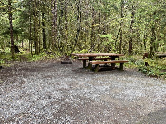 A photo of Site 020 of Loop LOOP A at COHO CAMPGROUND with Picnic Table, Fire Pit