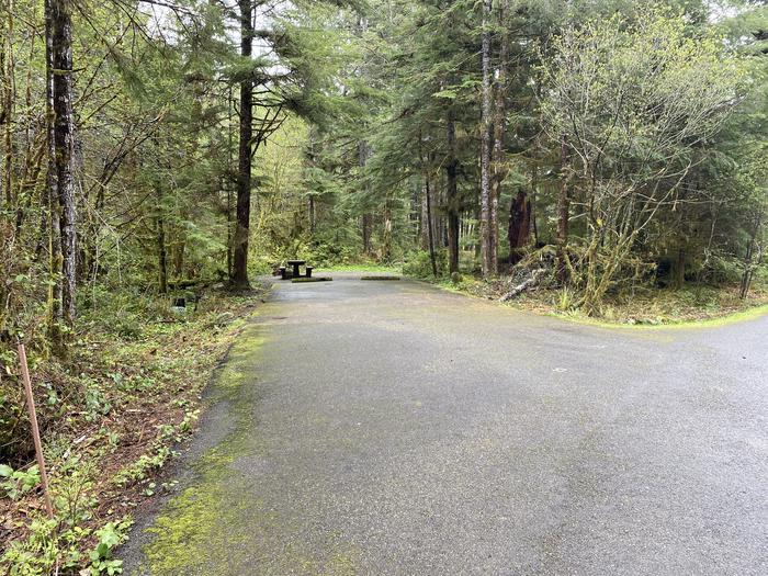 A photo of Site 023 of Loop LOOP A at COHO CAMPGROUND with No Amenities Shown