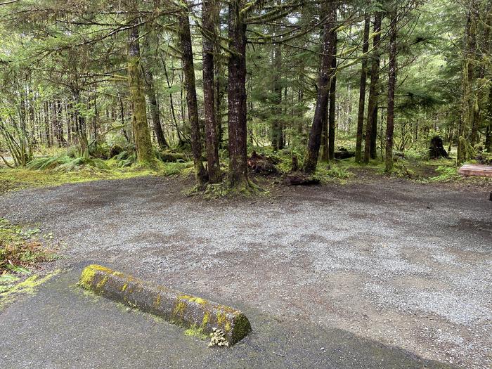 A photo of Site 020 of Loop LOOP A at COHO CAMPGROUND with Tent Pad