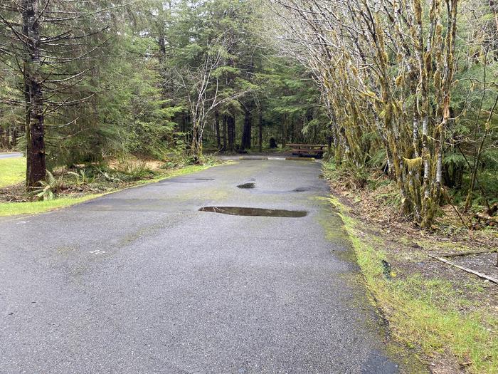 A photo of Site 020 of Loop LOOP A at COHO CAMPGROUND with No Amenities Shown