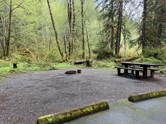A photo of Site 006 of Loop LOOP A at COHO CAMPGROUND with Picnic Table, Fire Pit, Tent Pad