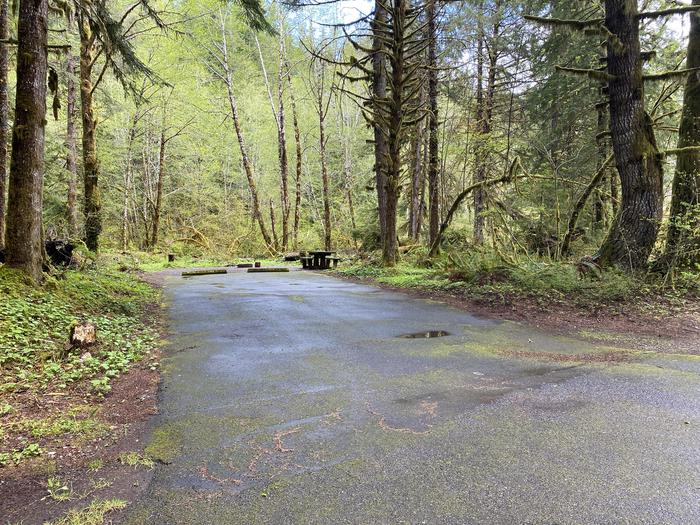 A photo of Site 006 of Loop LOOP A at COHO CAMPGROUND with No Amenities Shown