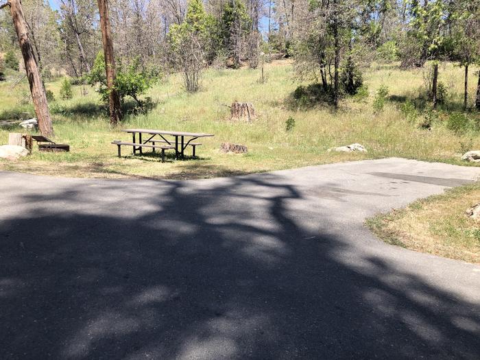 A photo of Site 002 of Loop SPRING COVE at SPRING COVE with Picnic Table, Fire Pit, Tent Pad