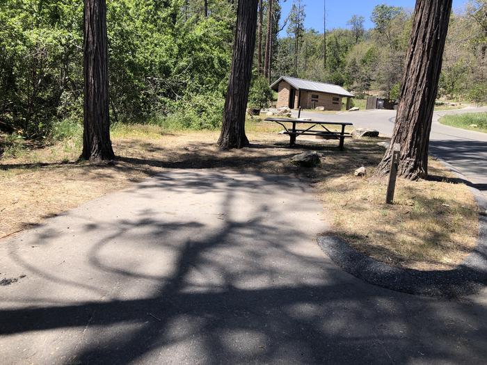 A photo of Site 001 of Loop SPRING COVE at SPRING COVE with Picnic Table, Fire Pit, Shade, Tent Pad
