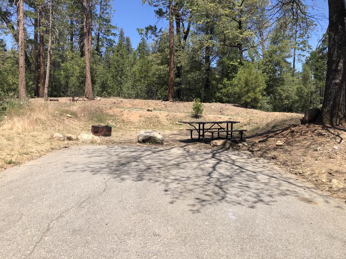 A photo of Site 010 of Loop SPRING COVE at SPRING COVE with Picnic Table, Fire Pit, Shade, Food Storage