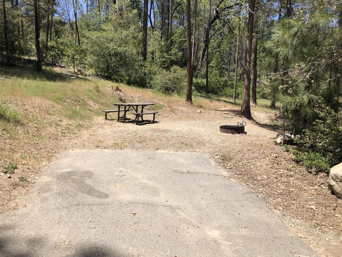 A photo of Site 018 of Loop SPRING COVE at SPRING COVE with Picnic Table, Fire Pit, Food Storage, Tent Pad