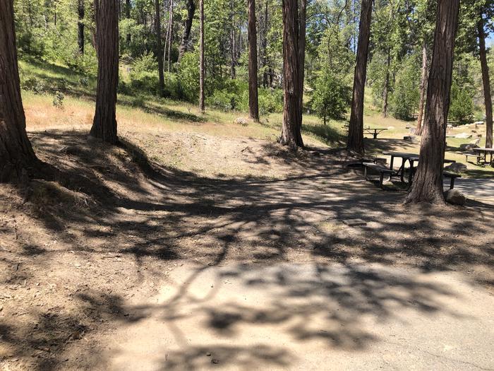 A photo of Site 019 of Loop SPRING COVE at SPRING COVE with Picnic Table, Fire Pit, Shade, Food Storage
