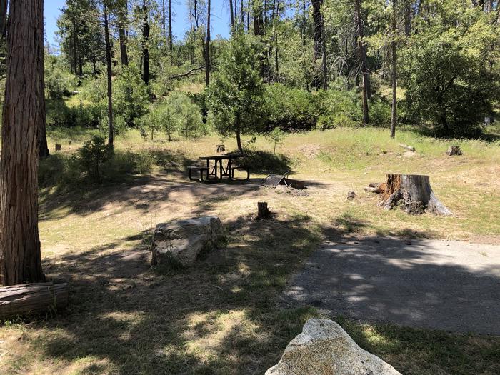 A photo of Site 021 of Loop SPRING COVE at SPRING COVE with Picnic Table, Fire Pit, Shade, Food Storage