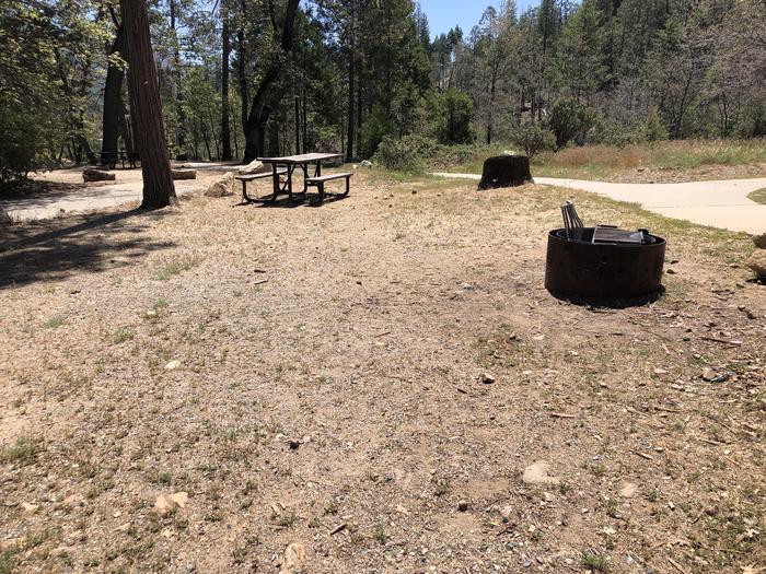 A photo of Site 016 of Loop SPRING COVE at SPRING COVE with Picnic Table, Fire Pit, Food Storage