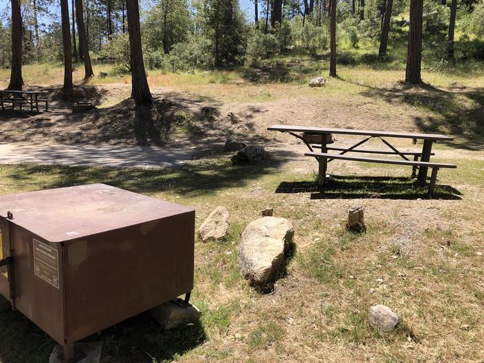 A photo of Site 020 of Loop SPRING COVE at SPRING COVE with Picnic Table, Electricity Hookup, Fire Pit, Shade, Food Storage