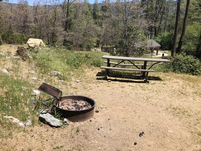 A photo of Site 030 of Loop SPRING COVE at SPRING COVE with Picnic Table, Fire Pit, Shade, Food Storage, Tent Pad