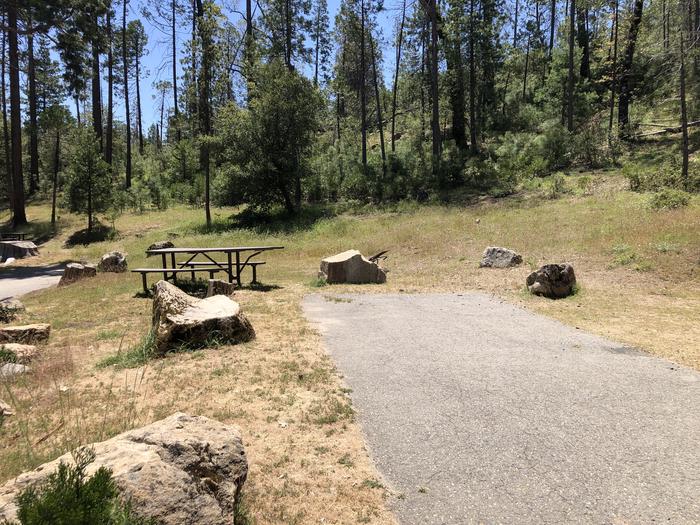 A photo of Site 022 of Loop SPRING COVE at SPRING COVE with Picnic Table, Fire Pit, Food Storage