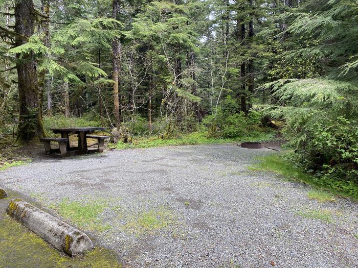 A photo of Site 039 of Loop LOOP B at COHO CAMPGROUND with Picnic Table, Fire Pit, Tent Pad