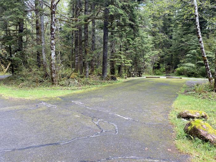 A photo of Site 039 of Loop LOOP B at COHO CAMPGROUND with No Amenities Shown