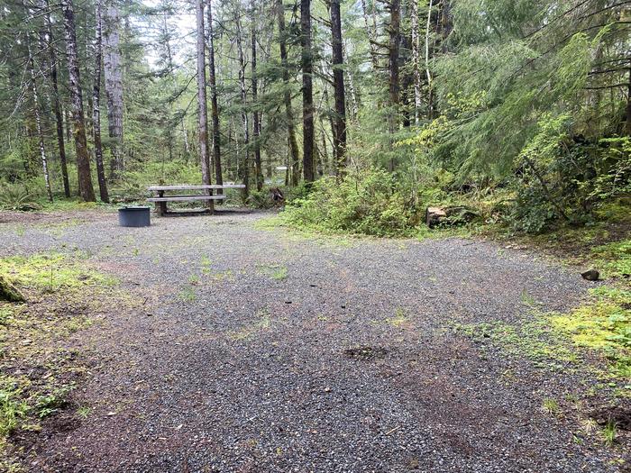 A photo of Site 056 of Loop HIKE-IN at COHO CAMPGROUND with Picnic Table, Fire Pit, Tent Pad
