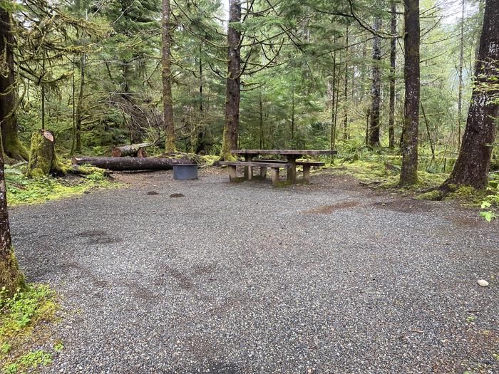 A photo of Site 055 of Loop HIKE-IN at COHO CAMPGROUND with Picnic Table, Fire Pit, Tent Pad
