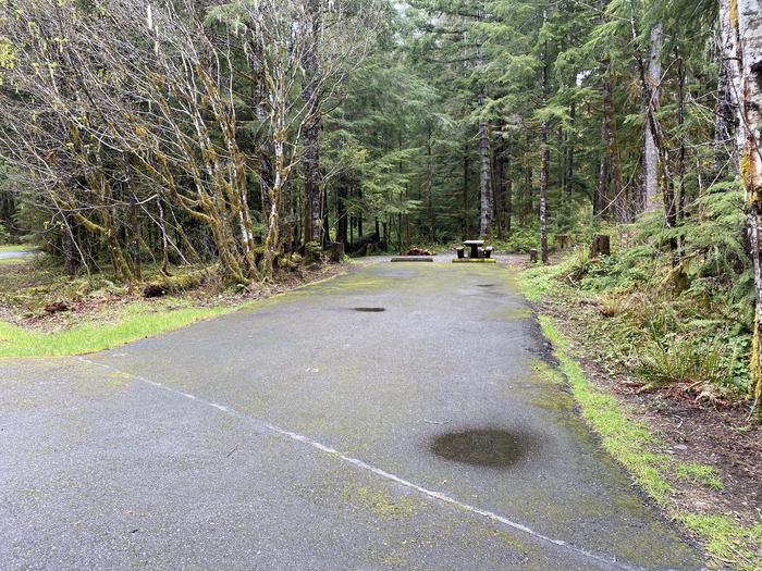 A photo of Site 015 of Loop LOOP A at COHO CAMPGROUND with No Amenities Shown