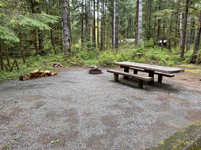 A photo of Site 015 of Loop LOOP A at COHO CAMPGROUND with Picnic Table, Fire Pit, Tent Pad