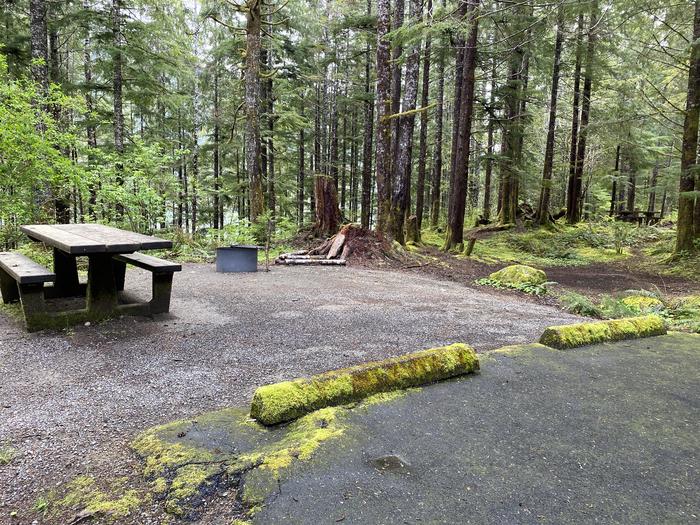 A photo of Site 033 of Loop LOOP B at COHO CAMPGROUND with Picnic Table, Fire Pit, Tent Pad
