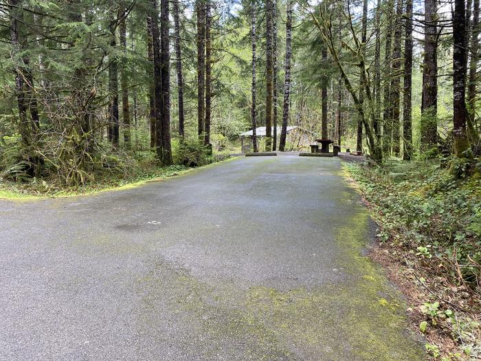 A photo of Site 032 of Loop LOOP B at COHO CAMPGROUND with No Amenities Shown