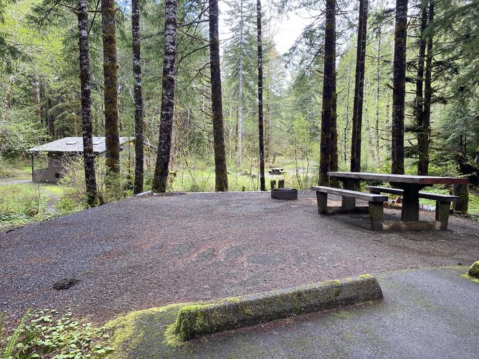 A photo of Site 032 of Loop LOOP B at COHO CAMPGROUND with Picnic Table, Fire Pit, Tent Pad