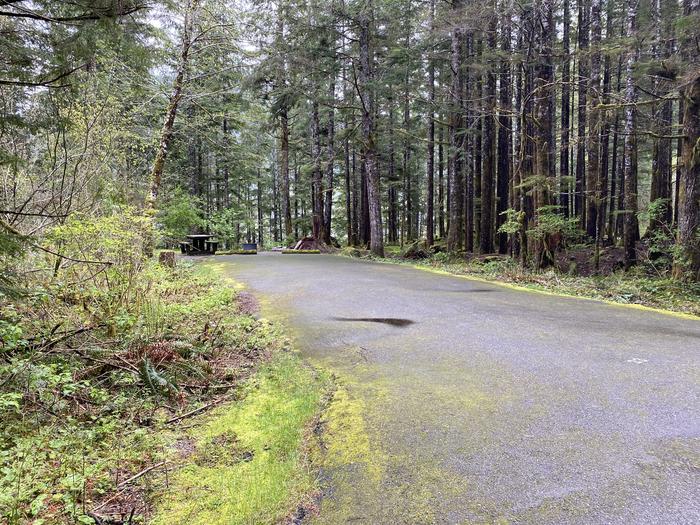 A photo of Site 033 of Loop LOOP B at COHO CAMPGROUND with No Amenities Shown