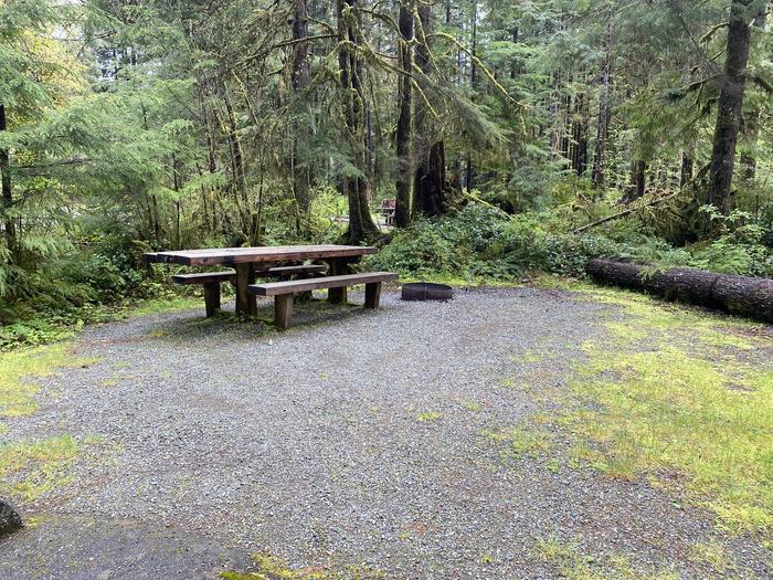 A photo of Site 005 of Loop LOOP A at COHO CAMPGROUND with Picnic Table, Fire Pit, Tent Pad