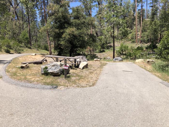 A photo of Site 026 of Loop SPRING COVE at SPRING COVE with Picnic Table, Fire Pit, Food Storage, Tent Pad