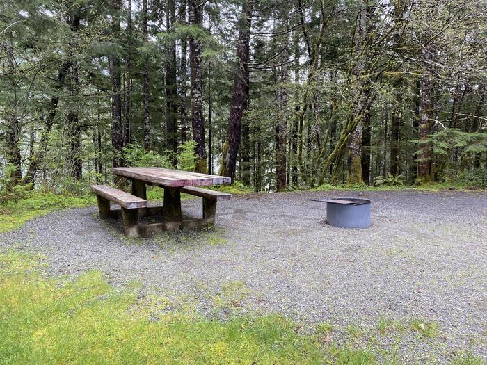 A photo of Site 029 of Loop LOOP B at COHO CAMPGROUND with Picnic Table, Fire Pit