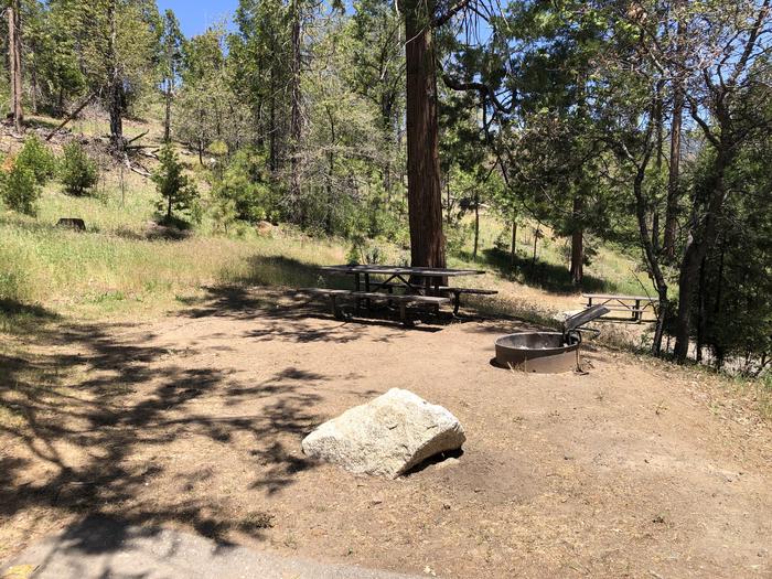 A photo of Site 035 of Loop SPRING COVE at SPRING COVE with Picnic Table, Fire Pit, Shade, Food Storage