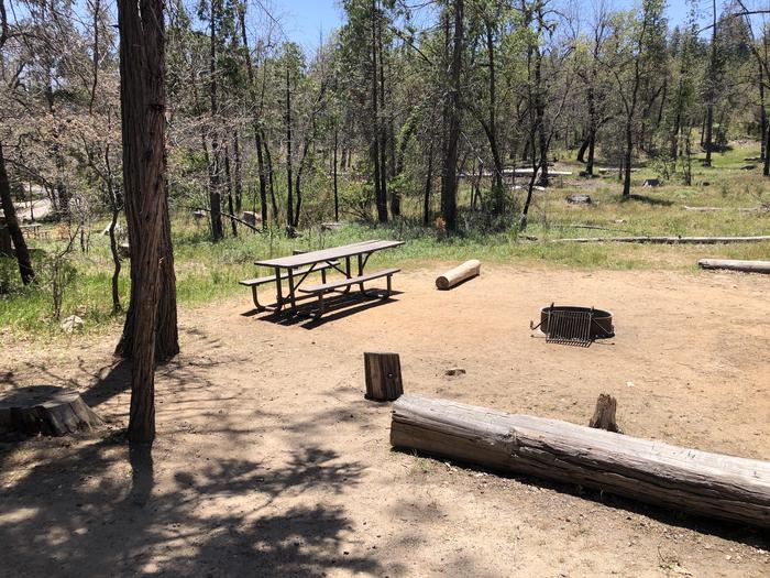 A photo of Site 039 of Loop SPRING COVE at SPRING COVE with Picnic Table, Fire Pit, Food Storage, Tent Pad