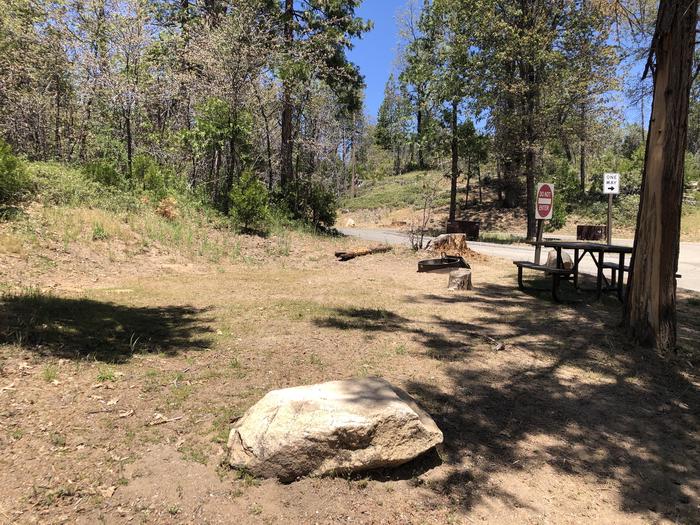 A photo of Site 040 of Loop SPRING COVE at SPRING COVE with Picnic Table, Fire Pit, Shade, Food Storage, Tent Pad