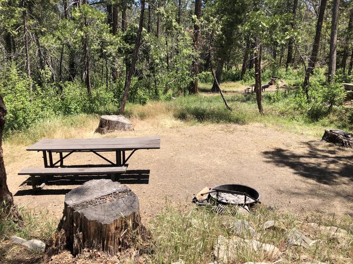 A photo of Site 044 of Loop SPRING COVE at SPRING COVE with Picnic Table, Fire Pit, Shade, Food Storage, Tent Pad