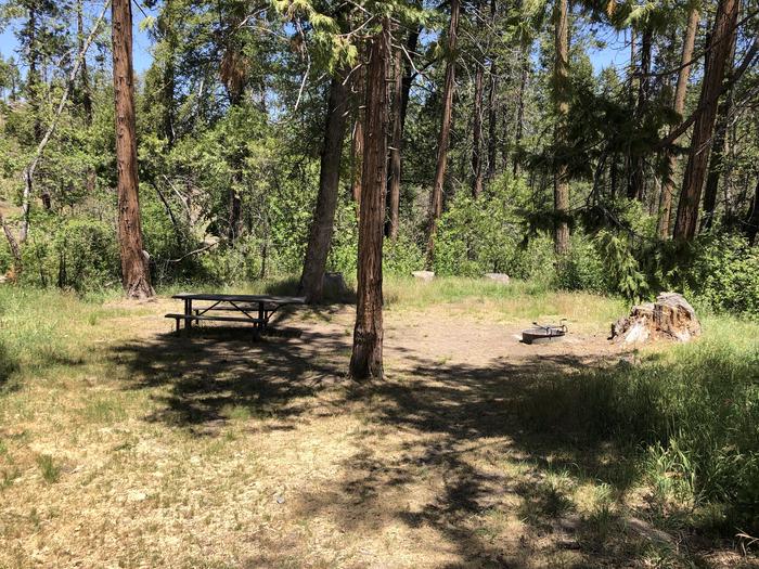 A photo of Site 046 of Loop SPRING COVE at SPRING COVE with Picnic Table, Fire Pit, Shade, Food Storage, Tent Pad