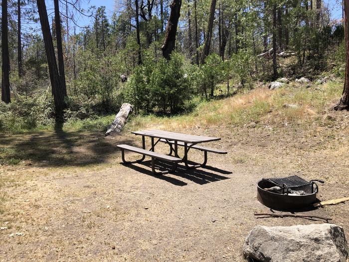 A photo of Site 049 of Loop SPRING COVE at SPRING COVE with Picnic Table, Fire Pit, Shade, Food Storage, Tent Pad