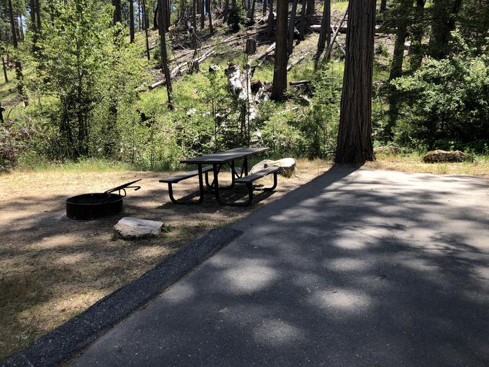 A photo of Site 057 of Loop SPRING COVE at SPRING COVE with Picnic Table, Fire Pit, Shade, Food Storage, Tent Pad