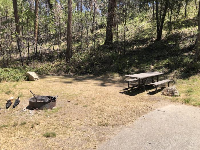 A photo of Site 051 of Loop SPRING COVE at SPRING COVE with Picnic Table, Fire Pit, Shade, Food Storage, Tent Pad