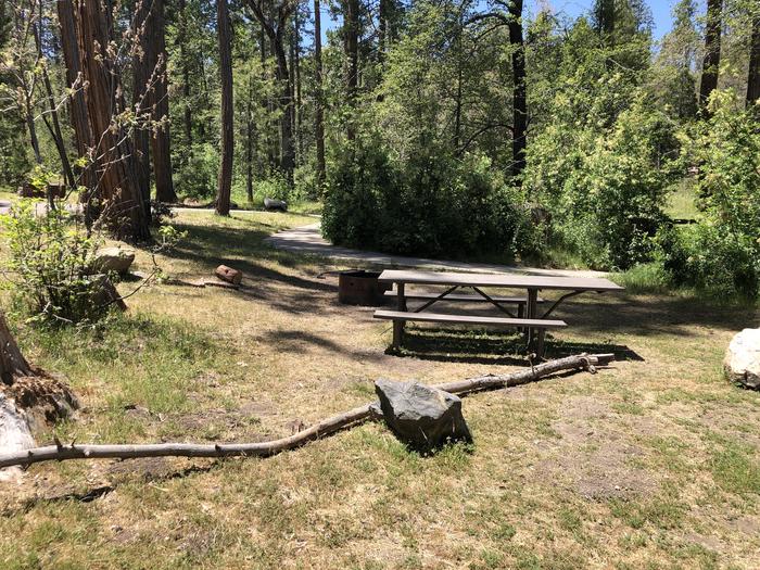 A photo of Site 061 of Loop SPRING COVE at SPRING COVE with Picnic Table, Fire Pit, Shade, Food Storage, Tent Pad