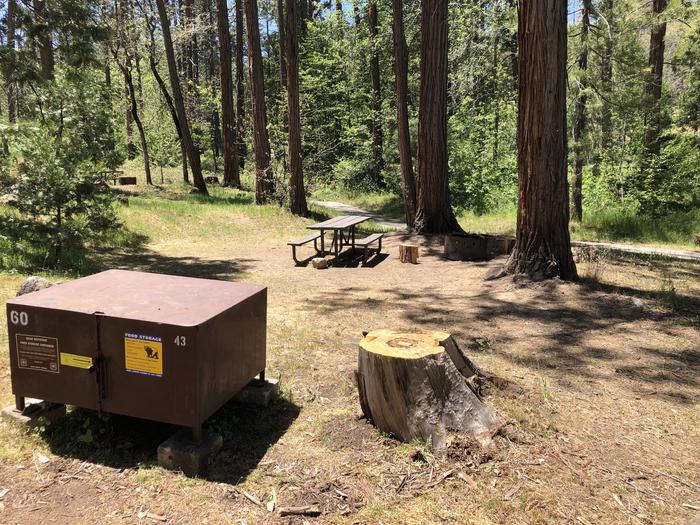 A photo of Site 060 of Loop SPRING COVE at SPRING COVE with Picnic Table, Fire Pit, Shade, Food Storage, Tent Pad