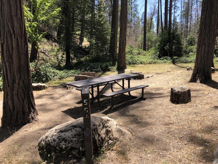 A photo of Site 055 of Loop SPRING COVE at SPRING COVE with Picnic Table, Fire Pit, Shade, Food Storage, Tent Pad