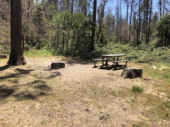 A photo of Site 054 of Loop SPRING COVE at SPRING COVE with Picnic Table, Fire Pit, Shade, Food Storage, Tent Pad