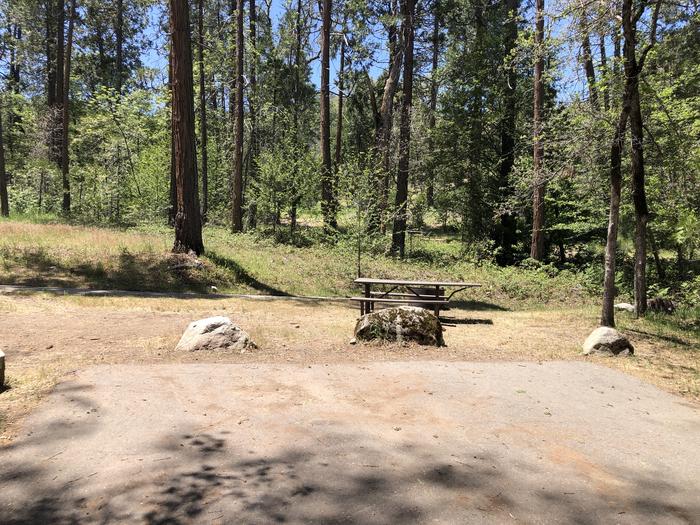 A photo of Site 059 of Loop SPRING COVE at SPRING COVE with Picnic Table, Fire Pit, Shade, Food Storage, Tent Pad