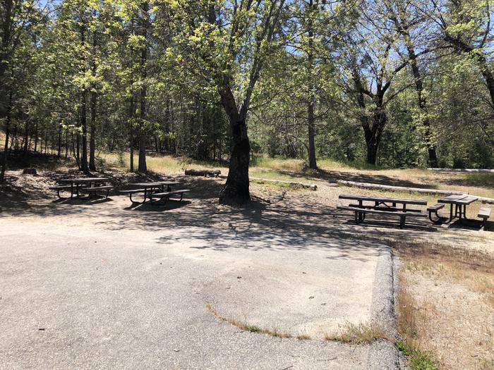 A photo of Site 005 of Loop 01-07 at CEDAR BLUFF with Picnic Table, Fire Pit, Shade, Tent Pad