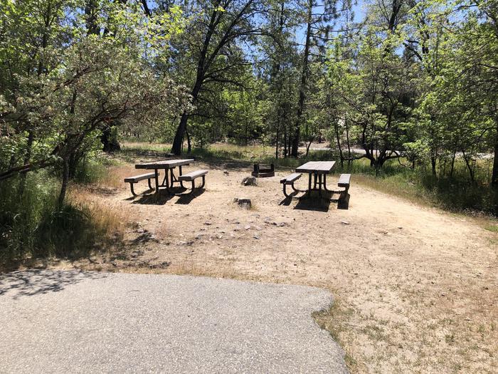 A photo of Site 003 of Loop 01-07 at CEDAR BLUFF with Picnic Table, Fire Pit, Shade, Tent Pad