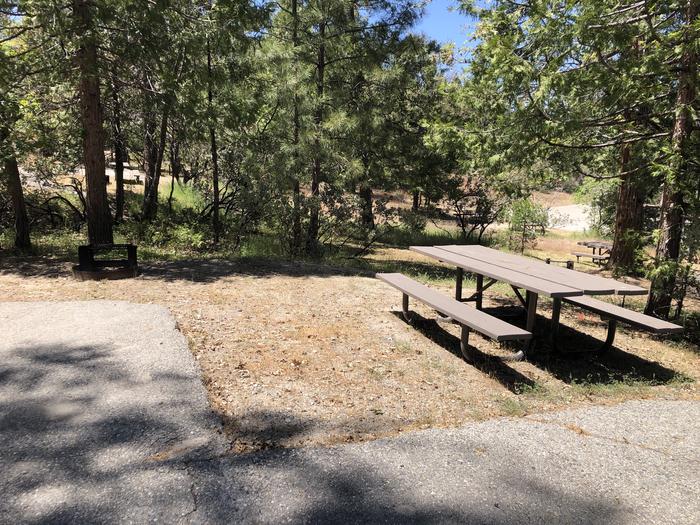 A photo of Site 008 of Loop 08-17 at CEDAR BLUFF with Picnic Table, Fire Pit