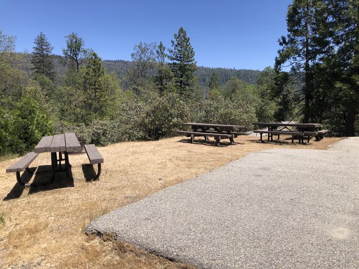 A photo of Site 016 of Loop 08-17 at CEDAR BLUFF with Picnic Table, Fire Pit, Tent Pad